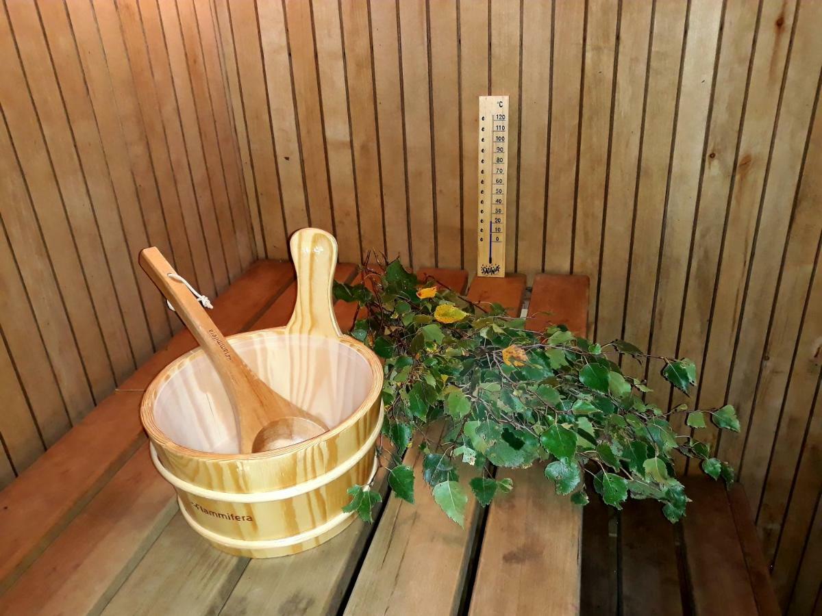 Viesu Nams Buselis Hotel Turaida Екстериор снимка